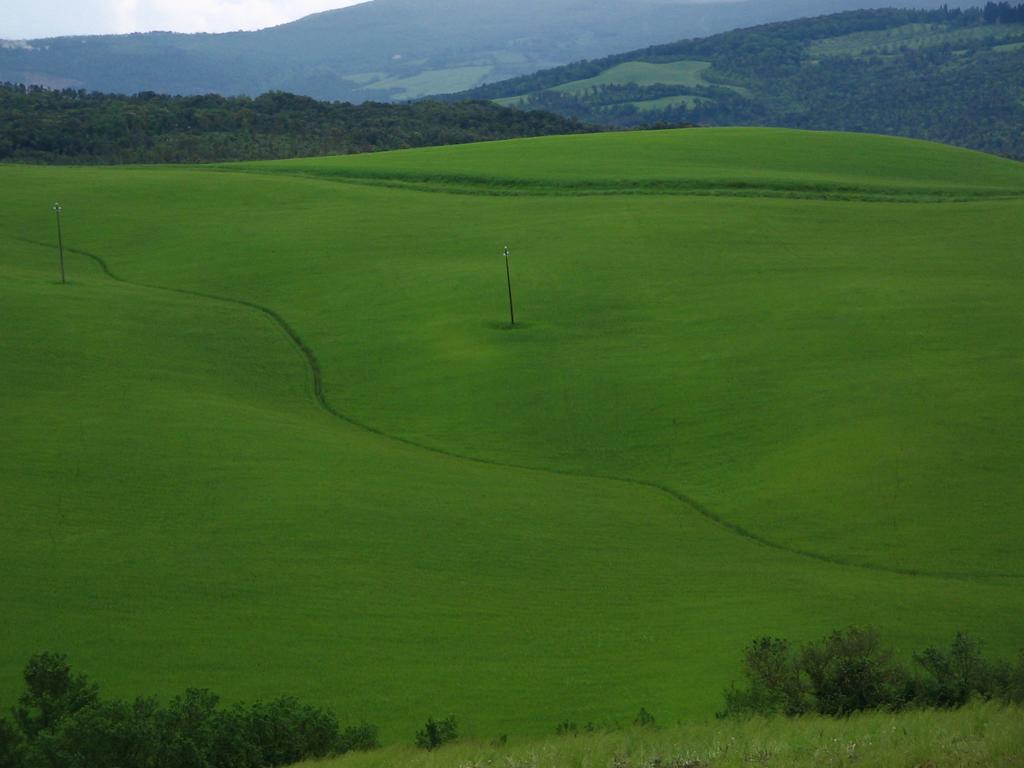 Agriturismo Podere Campaini Volterra Ngoại thất bức ảnh