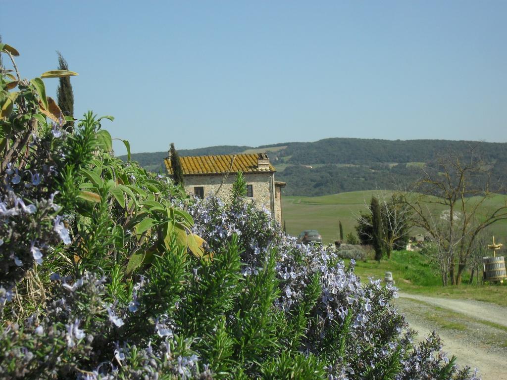 Agriturismo Podere Campaini Volterra Ngoại thất bức ảnh