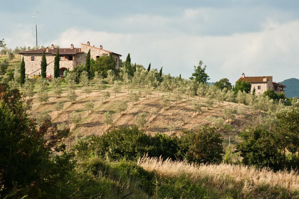 Agriturismo Podere Campaini Volterra Ngoại thất bức ảnh