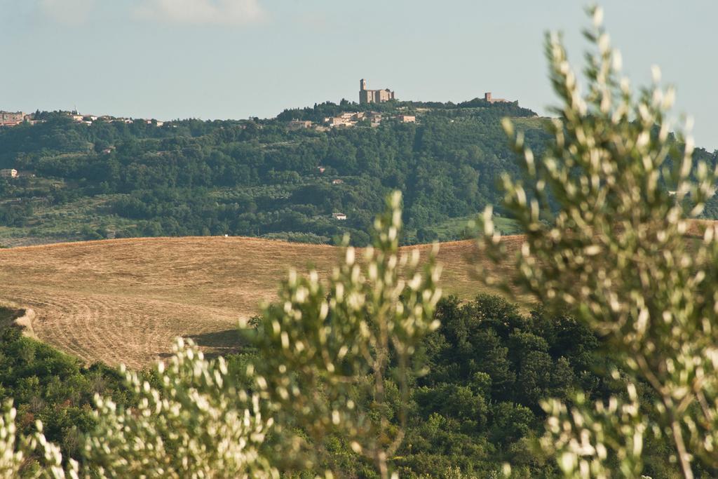 Agriturismo Podere Campaini Volterra Ngoại thất bức ảnh