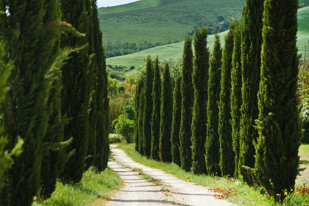 Agriturismo Podere Campaini Volterra Ngoại thất bức ảnh
