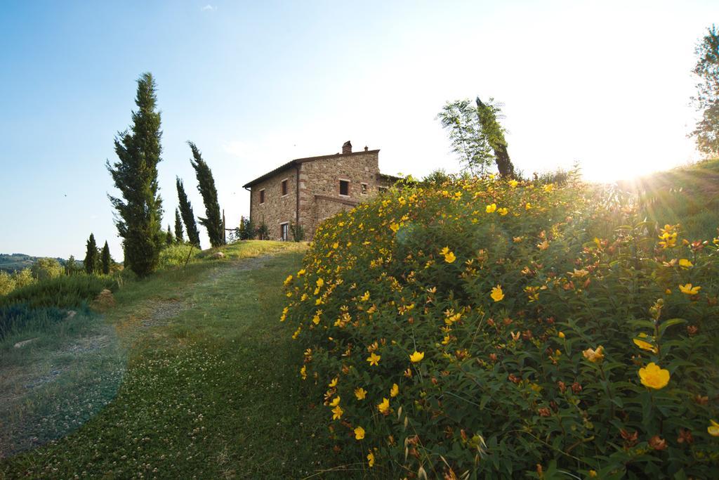 Agriturismo Podere Campaini Volterra Ngoại thất bức ảnh
